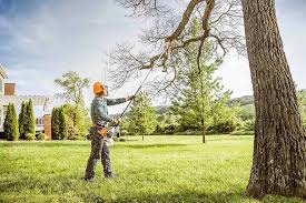 Best Hedge Trimming  in Lakefield, MN