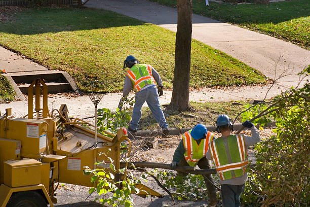 Best Seasonal Cleanup (Spring/Fall)  in Lakefield, MN